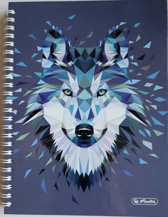 Caiet matematica HERLITZ, spirala A5, PREMIUM, coperta tare, 100 file