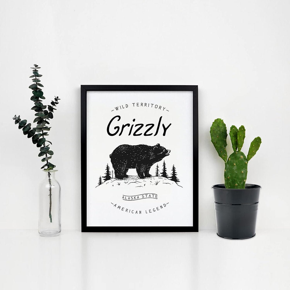 Ghivece suspendate din metal, alb sau negru, pachet de 10, KINGLAKE