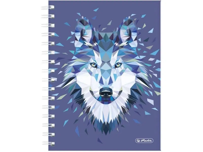 Caiet matematica HERLITZ, spirala A5, PREMIUM, coperta tare, 100 file